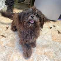 Thumbnail photo of Kimchi #2