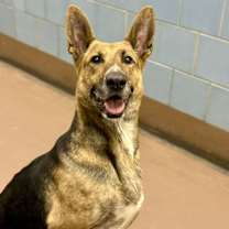 Thumbnail photo of Glimmer #2