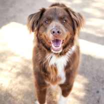 Thumbnail photo of JACK #4