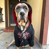 Thumbnail photo of Sabrina #4