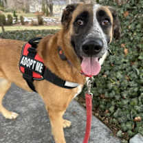 Thumbnail photo of Sheila #1