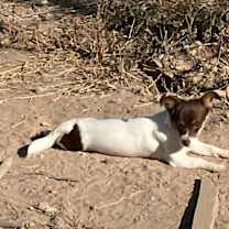 Thumbnail photo of Libby #1