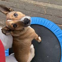 Thumbnail photo of Sourdough #2