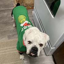 Thumbnail photo of Jetsam #1