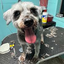 Thumbnail photo of Whimsy #1