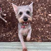 Thumbnail photo of Hollywood #1