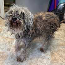 Thumbnail photo of Whimsy #2