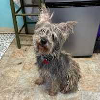 Thumbnail photo of Hollywood #2