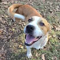 Thumbnail photo of Mick #1