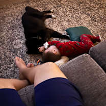 Thumbnail photo of Rocko #3