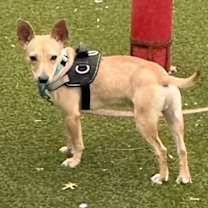 Thumbnail photo of Burt #2