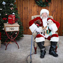 Thumbnail photo of Linus #2