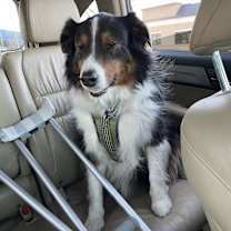 Thumbnail photo of Eli #4