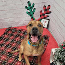 Thumbnail photo of Alexei #1