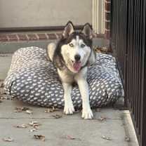 Thumbnail photo of Mani #1