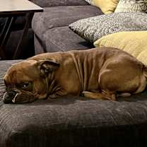 Thumbnail photo of Reeves #2