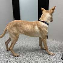 Thumbnail photo of Nori #3