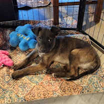 Thumbnail photo of Scooby Doo Crew - Shaggy #2