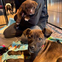 Thumbnail photo of Scooby Doo Crew - Shaggy #3