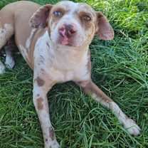 Thumbnail photo of Pinky #1