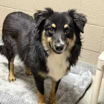 Thumbnail photo of Max #2