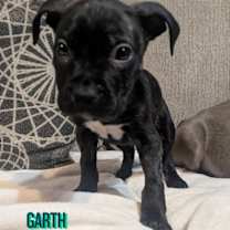 Thumbnail photo of Garth #1