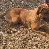 Thumbnail photo of NALA #2