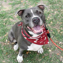 Thumbnail photo of Delila #2