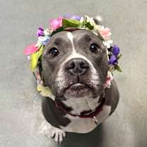 Thumbnail photo of Delila #3