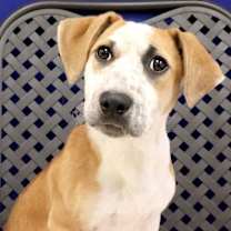 Thumbnail photo of Blizzard #1