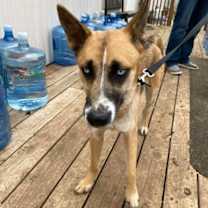 Thumbnail photo of Claire #3