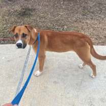 Thumbnail photo of Chuck #2