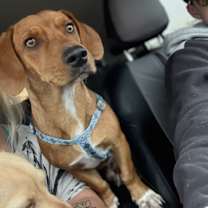 Thumbnail photo of Renato #1