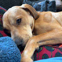 Thumbnail photo of Brady #4