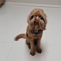 Thumbnail photo of Roo #2