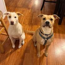 Thumbnail photo of Nala Forsyth #4