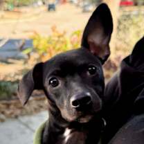 Thumbnail photo of Ealy GM #1