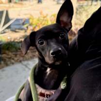 Thumbnail photo of Ealy GM #2