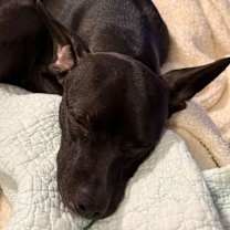 Thumbnail photo of Ealy GM #3