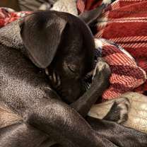 Thumbnail photo of Ealy GM #4