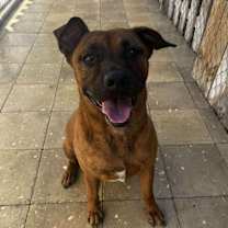 Thumbnail photo of Brady #4