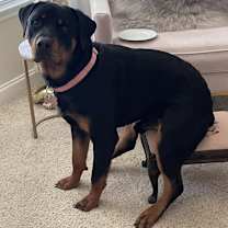 Thumbnail photo of Thomas #4