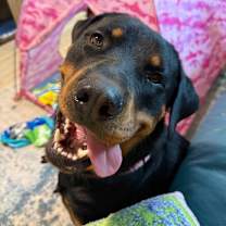 Thumbnail photo of Thomas #1