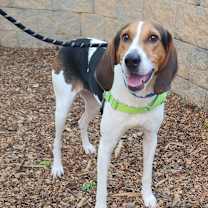 Thumbnail photo of Sally #4