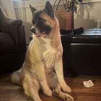 Thumbnail photo of Jupiter #2