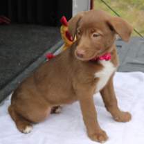 Thumbnail photo of Betsy #4