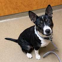 Thumbnail photo of Darlene #1