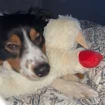 Thumbnail photo of Zeus #2