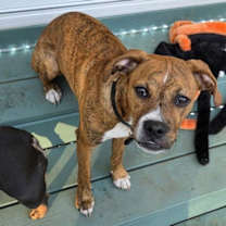 Thumbnail photo of Mr. Carl Bones #1