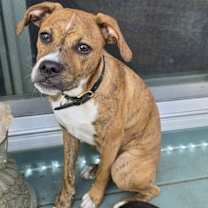 Thumbnail photo of Mr. Carl Bones #4